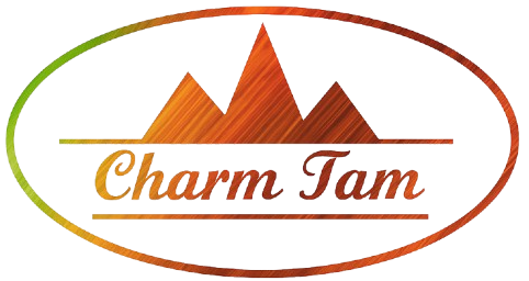 لوگو چرم تام